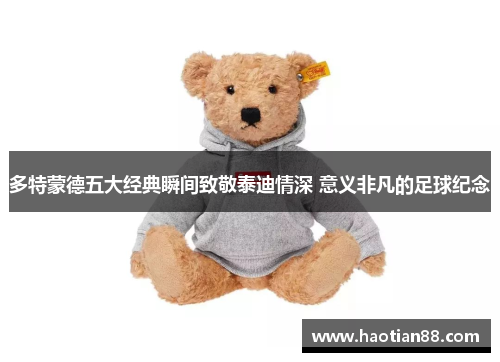 多特蒙德五大经典瞬间致敬泰迪情深 意义非凡的足球纪念